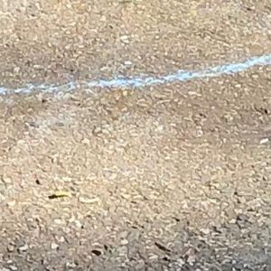 Meet your Posher, Sophia